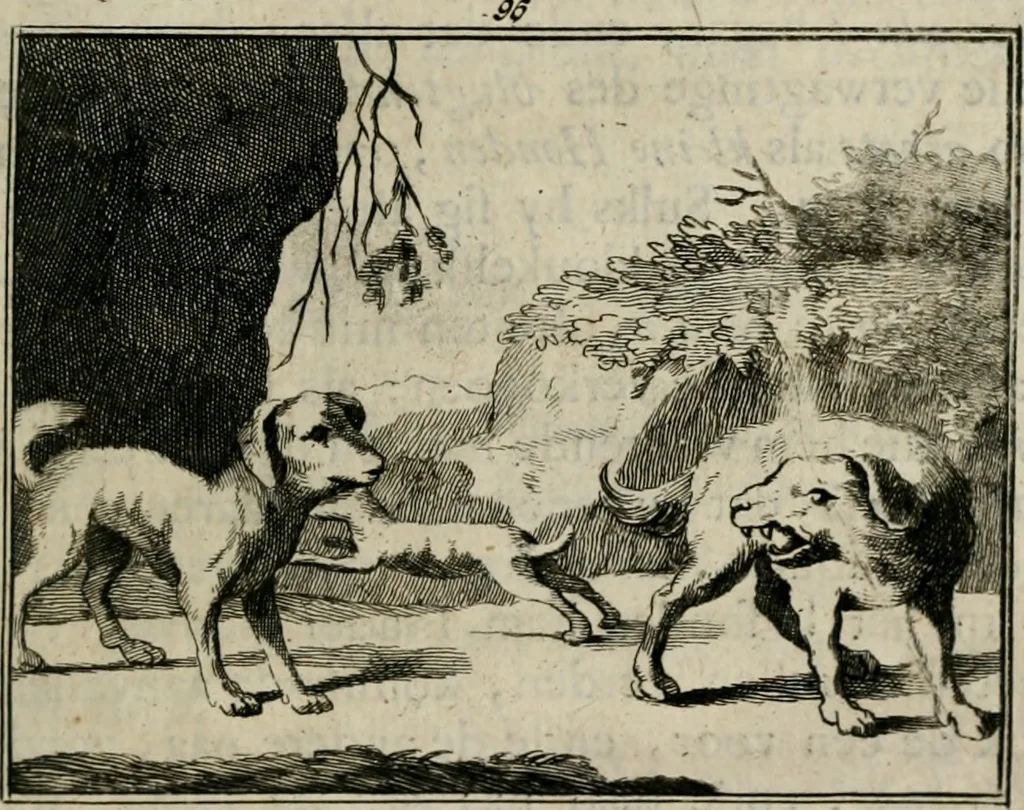 An illustration from Sinryke fabulen : verklaart en toegepast tot alderley zeede-lessen, dienstig om waargenoomen te werden in het menschelijke en burgerlijke leeven, 1685, leaf 700