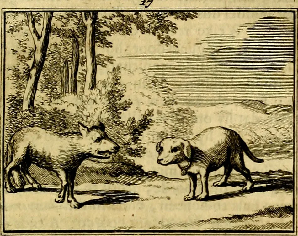 An illustration from Sinryke fabulen, : verklaart en toegepast tot alderley zeede-lessen, dienstig om waargenoomen te werden in het menschelijke en burgerlijke leeven, 1685, leaf 106