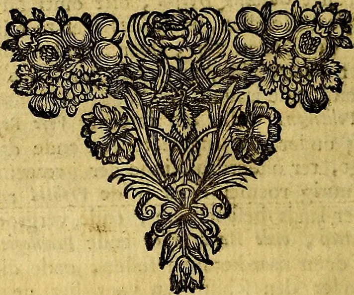 An illustration from Sinryke fabulen, : verklaart en toegepast tot alderley zeede-lessen, dienstig om waargenoomen te werden in het menschelijke en burgerlijke leeven, 1685, leaf 139