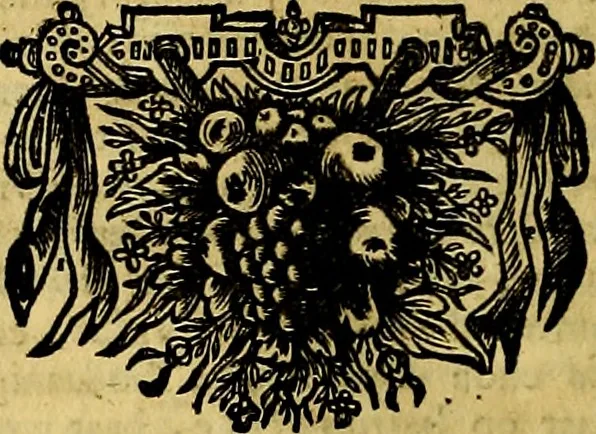 An illustration from Sinryke fabulen, : verklaart en toegepast tot alderley zeede-lessen, dienstig om waargenoomen te werden in het menschelijke en burgerlijke leeven, 1685, leaf 145