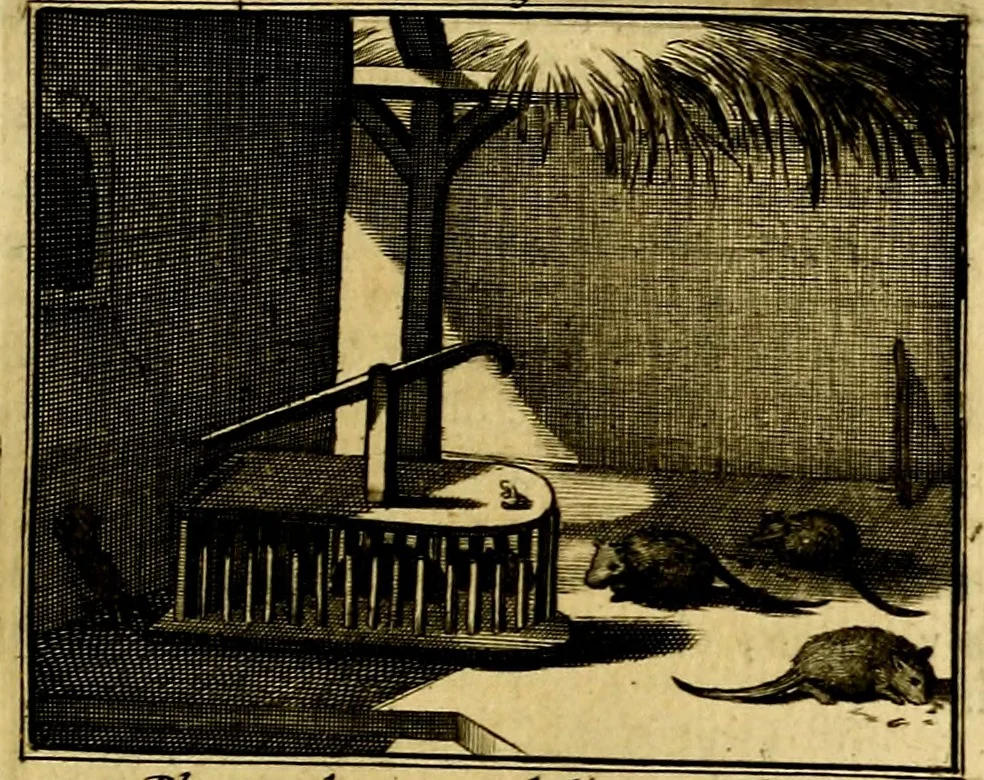 An illustration from Sinryke fabulen, : verklaart en toegepast tot alderley zeede-lessen, dienstig om waargenoomen te werden in het menschelijke en burgerlijke leeven, 1685, leaf 170