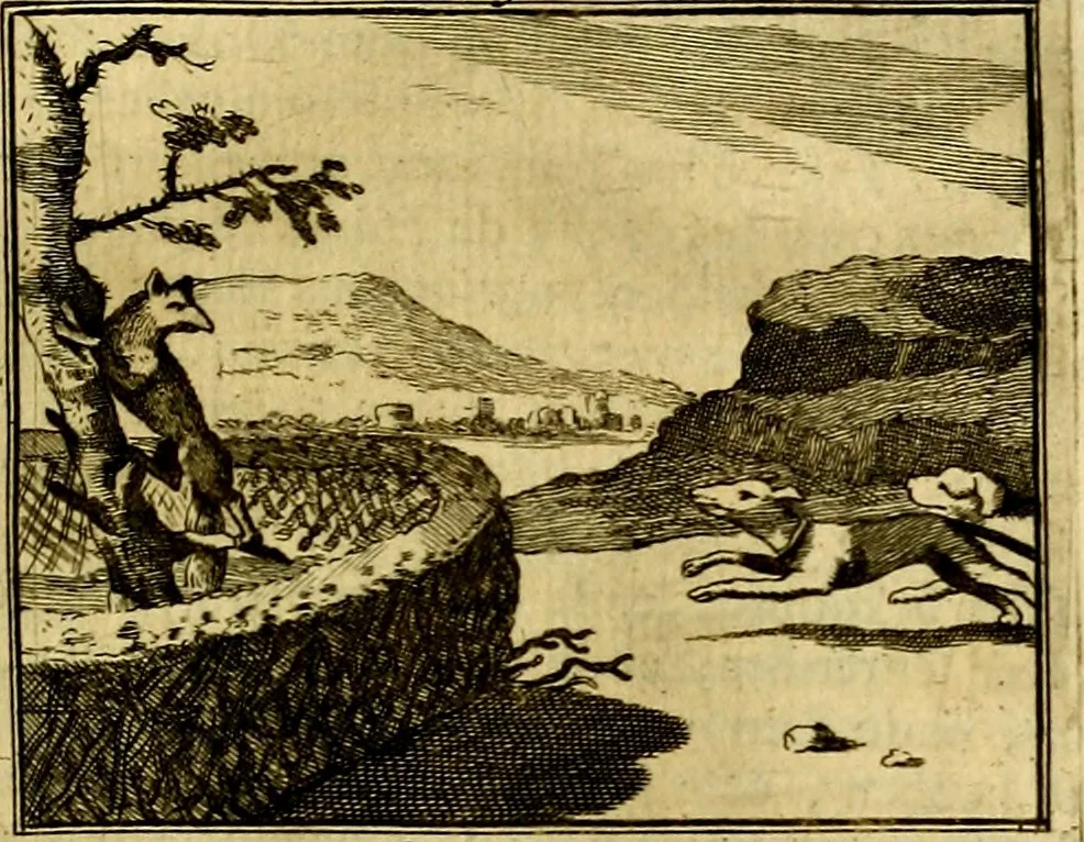 An illustration from Sinryke fabulen, : verklaart en toegepast tot alderley zeede-lessen, dienstig om waargenoomen te werden in het menschelijke en burgerlijke leeven, 1685, leaf 174