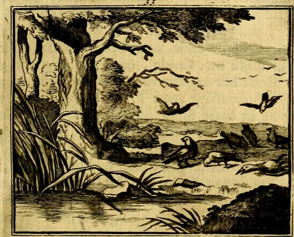 An illustration from Sinryke fabulen, : verklaart en toegepast tot alderley zeede-lessen, dienstig om waargenoomen te werden in het menschelijke en burgerlijke leeven, 1685, leaf 188