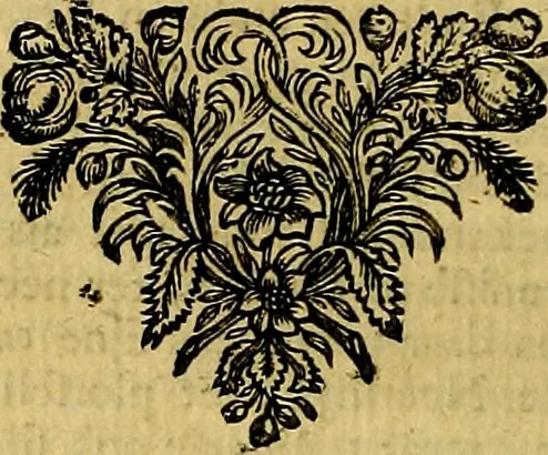 An illustration from Sinryke fabulen, : verklaart en toegepast tot alderley zeede-lessen, dienstig om waargenoomen te werden in het menschelijke en burgerlijke leeven, 1685, leaf 193