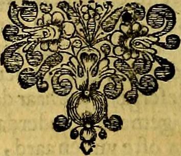 An illustration from Sinryke fabulen, : verklaart en toegepast tot alderley zeede-lessen, dienstig om waargenoomen te werden in het menschelijke en burgerlijke leeven, 1685, leaf 205