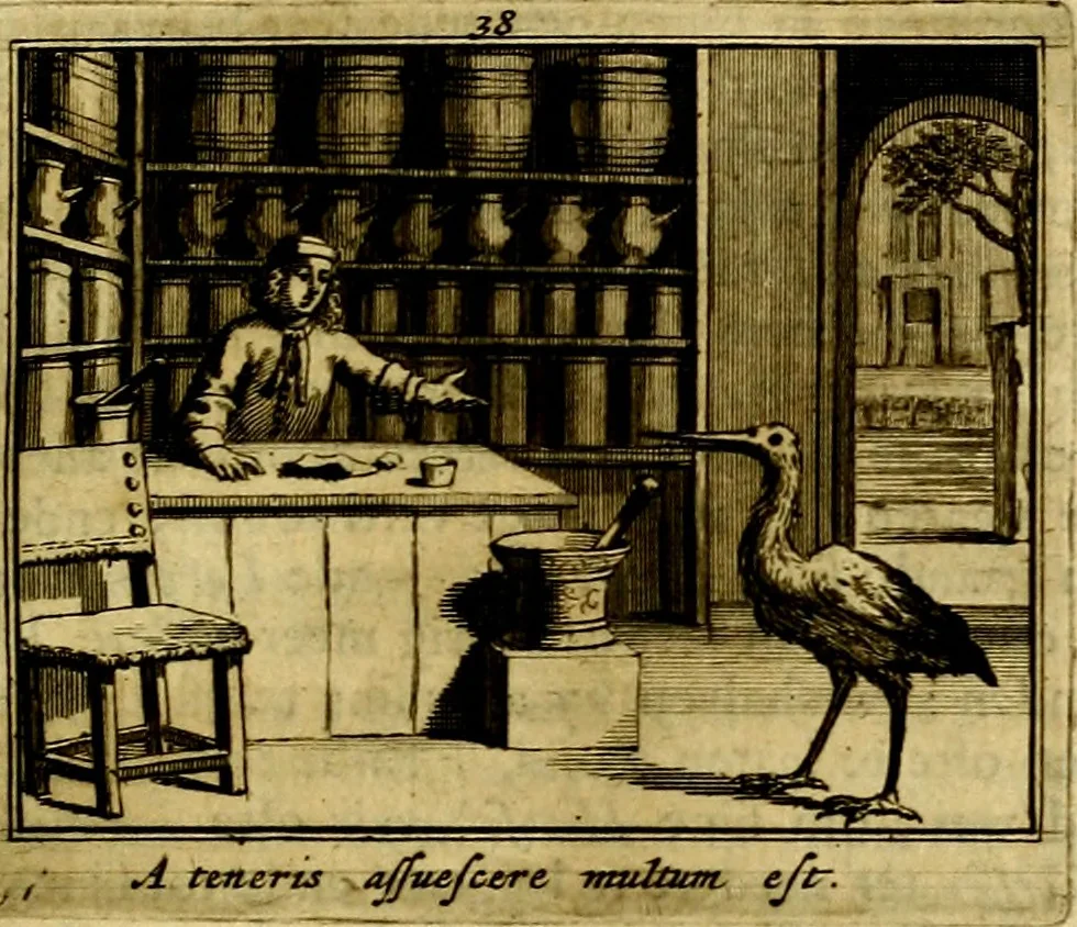 An illustration from Sinryke fabulen, : verklaart en toegepast tot alderley zeede-lessen, dienstig om waargenoomen te werden in het menschelijke en burgerlijke leeven, 1685, leaf 220