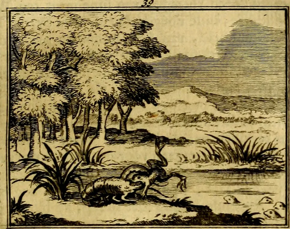 An illustration from Sinryke fabulen, : verklaart en toegepast tot alderley zeede-lessen, dienstig om waargenoomen te werden in het menschelijke en burgerlijke leeven, 1685, leaf 226