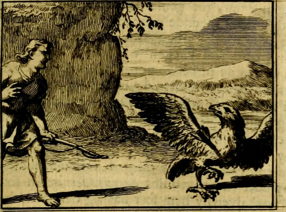 An illustration from Sinryke fabulen, : verklaart en toegepast tot alderley zeede-lessen, dienstig om waargenoomen te werden in het menschelijke en burgerlijke leeven, 1685, leaf 238