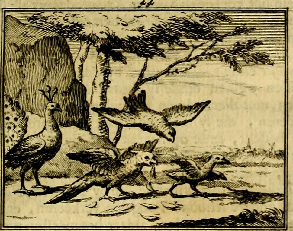 An illustration from Sinryke fabulen, : verklaart en toegepast tot alderley zeede-lessen, dienstig om waargenoomen te werden in het menschelijke en burgerlijke leeven, 1685, leaf 256
