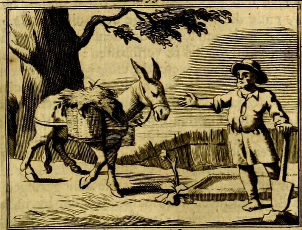 An illustration from Sinryke fabulen, : verklaart en toegepast tot alderley zeede-lessen, dienstig om waargenoomen te werden in het menschelijke en burgerlijke leeven, 1685, leaf 262