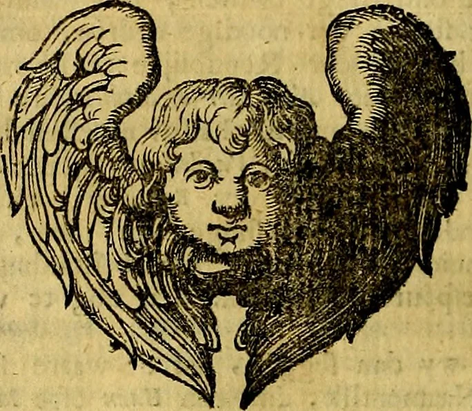 An illustration from Sinryke fabulen, : verklaart en toegepast tot alderley zeede-lessen, dienstig om waargenoomen te werden in het menschelijke en burgerlijke leeven, 1685, leaf 273
