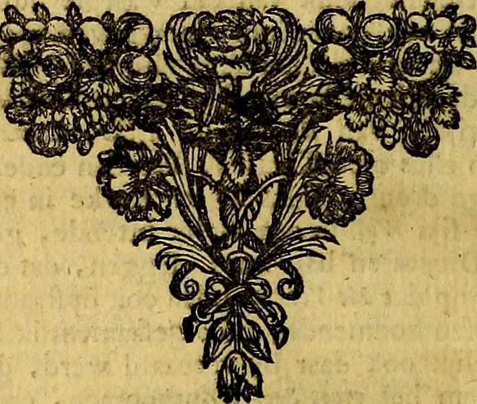 An illustration from Sinryke fabulen, : verklaart en toegepast tot alderley zeede-lessen, dienstig om waargenoomen te werden in het menschelijke en burgerlijke leeven, 1685, leaf 279