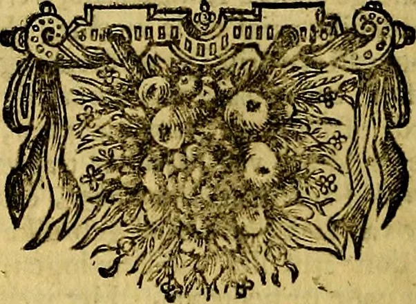 An illustration from Sinryke fabulen, : verklaart en toegepast tot alderley zeede-lessen, dienstig om waargenoomen te werden in het menschelijke en burgerlijke leeven, 1685, leaf 299