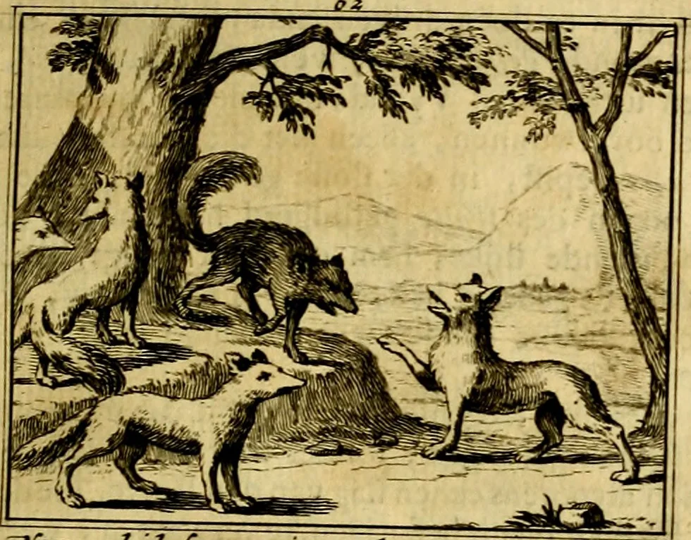 An illustration from Sinryke fabulen, : verklaart en toegepast tot alderley zeede-lessen, dienstig om waargenoomen te werden in het menschelijke en burgerlijke leeven, 1685, leaf 380