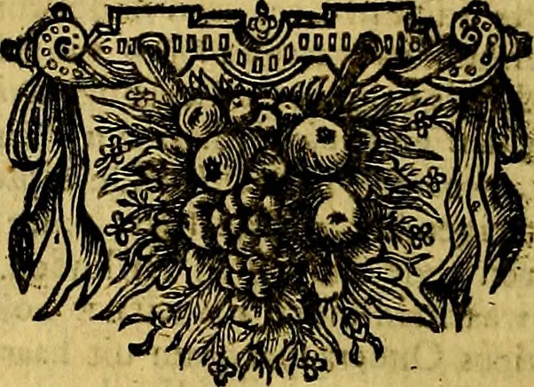 An illustration from Sinryke fabulen, : verklaart en toegepast tot alderley zeede-lessen, dienstig om waargenoomen te werden in het menschelijke en burgerlijke leeven, 1685, leaf 395