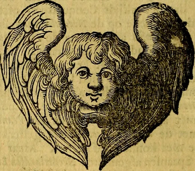 An illustration from Sinryke fabulen, : verklaart en toegepast tot alderley zeede-lessen, dienstig om waargenoomen te werden in het menschelijke en burgerlijke leeven, 1685, leaf 421
