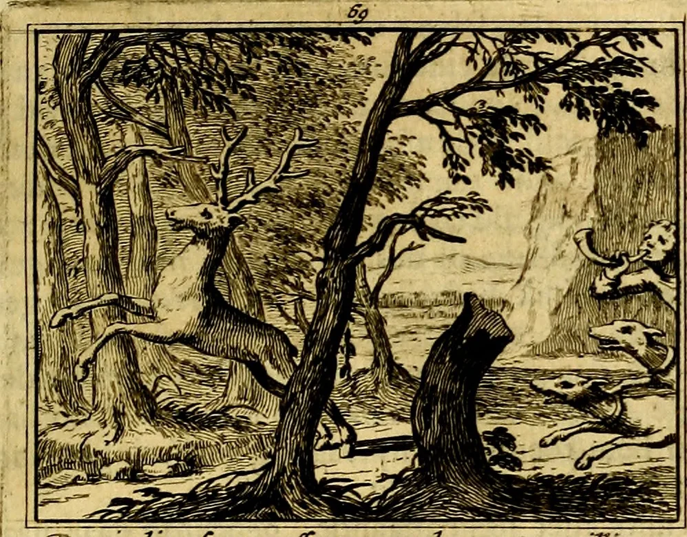 An illustration from Sinryke fabulen, : verklaart en toegepast tot alderley zeede-lessen, dienstig om waargenoomen te werden in het menschelijke en burgerlijke leeven, 1685, leaf 438
