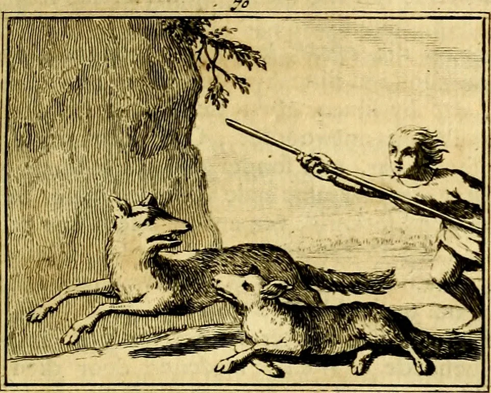 An illustration from Sinryke fabulen, : verklaart en toegepast tot alderley zeede-lessen, dienstig om waargenoomen te werden in het menschelijke en burgerlijke leeven, 1685, leaf 446