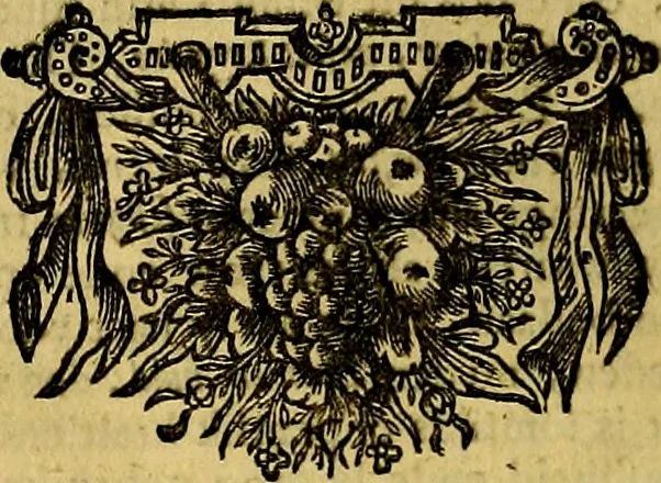 An illustration from Sinryke fabulen, : verklaart en toegepast tot alderley zeede-lessen, dienstig om waargenoomen te werden in het menschelijke en burgerlijke leeven, 1685, leaf 505