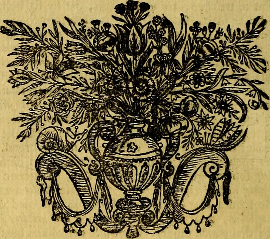 An illustration from Sinryke fabulen, : verklaart en toegepast tot alderley zeede-lessen, dienstig om waargenoomen te werden in het menschelijke en burgerlijke leeven, 1685, leaf 517
