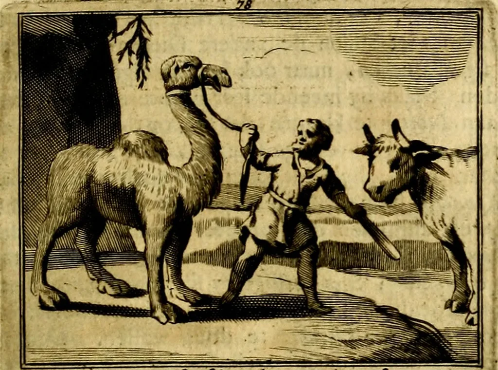 An illustration from Sinryke fabulen, : verklaart en toegepast tot alderley zeede-lessen, dienstig om waargenoomen te werden in het menschelijke en burgerlijke leeven, 1685, leaf 518