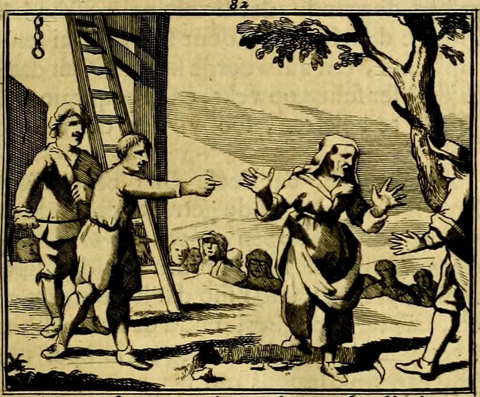 An illustration from Sinryke fabulen, : verklaart en toegepast tot alderley zeede-lessen, dienstig om waargenoomen te werden in het menschelijke en burgerlijke leeven, 1685, leaf 556