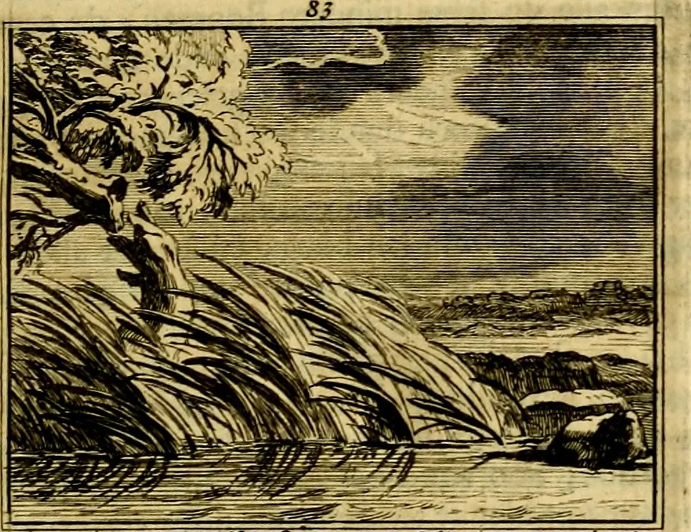 An illustration from Sinryke fabulen, : verklaart en toegepast tot alderley zeede-lessen, dienstig om waargenoomen te werden in het menschelijke en burgerlijke leeven, 1685, leaf 568
