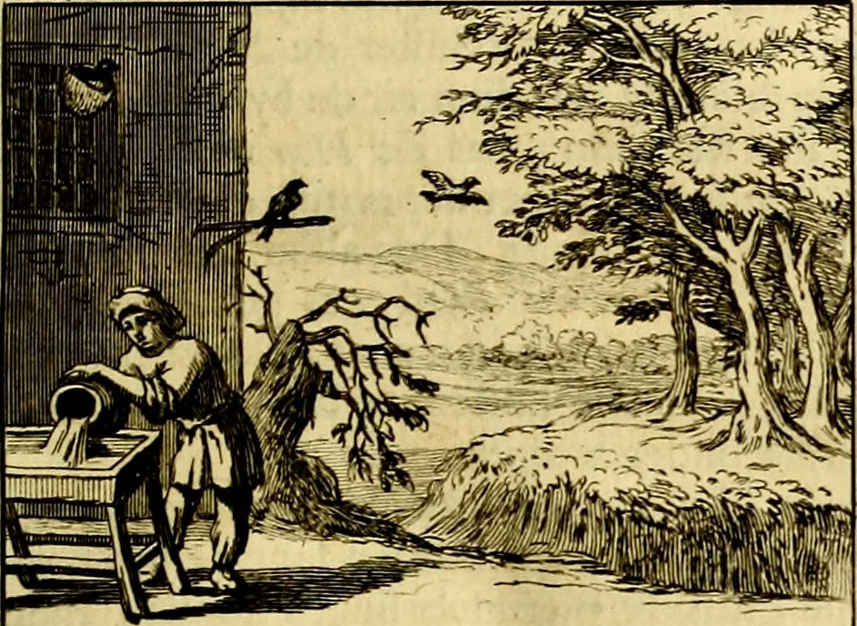 An illustration from Sinryke fabulen, : verklaart en toegepast tot alderley zeede-lessen, dienstig om waargenoomen te werden in het menschelijke en burgerlijke leeven, 1685, leaf 580