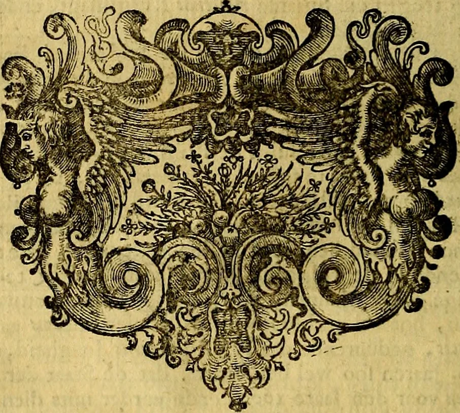 An illustration from Sinryke fabulen, : verklaart en toegepast tot alderley zeede-lessen, dienstig om waargenoomen te werden in het menschelijke en burgerlijke leeven, 1685, leaf 653