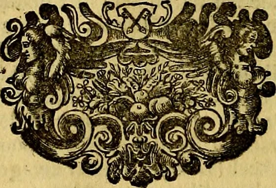 An illustration from Sinryke fabulen, : verklaart en toegepast tot alderley zeede-lessen, dienstig om waargenoomen te werden in het menschelijke en burgerlijke leeven, 1685, leaf 691