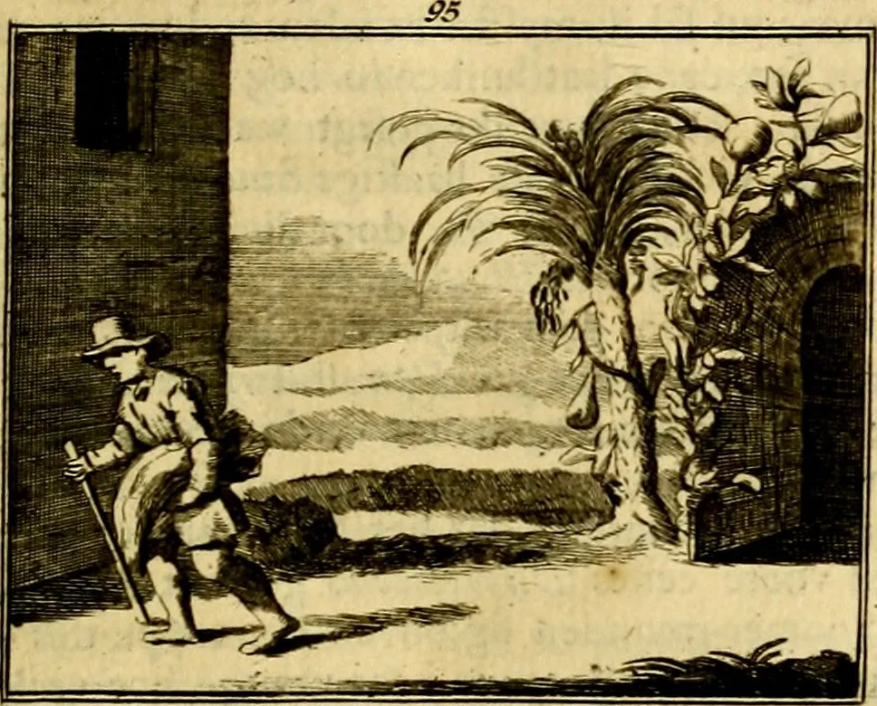 An illustration from Sinryke fabulen, : verklaart en toegepast tot alderley zeede-lessen, dienstig om waargenoomen te werden in het menschelijke en burgerlijke leeven, 1685, leaf 692