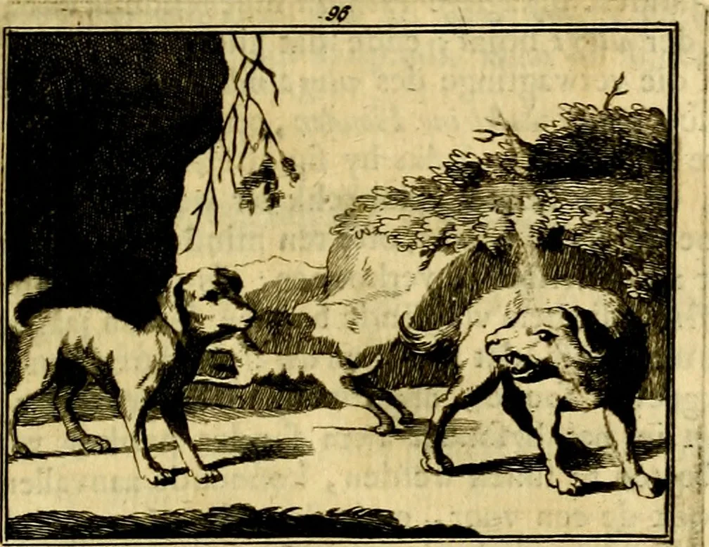 An illustration from Sinryke fabulen, : verklaart en toegepast tot alderley zeede-lessen, dienstig om waargenoomen te werden in het menschelijke en burgerlijke leeven, 1685, leaf 700