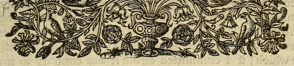 An illustration from Sir Antony Sherley his relation of his trauels into Persia : the dangers, and distresses, which befell him in his passage, both by sea and land, and his strange and vnexpected deliuerances : his magnificent entertainement in Persia, his honourable imployment there-hence, as embassadour to the princes of Christendome, the cause of his disapointment therein, with his aduice to his brother, Sir Robert Sherley : also, a true relation of the great magnificence, valour, prudence, iustice, temperance, and other manifold vertues of Abas, now King of Persia, with his great conquests, whereby he hath inlarged his dominions, 1613, leaf 13