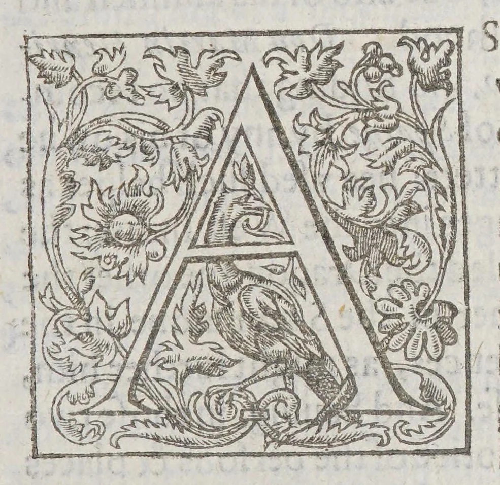 An illustration from Sir Francis Drake reuiued: : calling vpon this dull or effeminate age, to follow his noble steps for gold and siluer. By this memorable relation, of the rare occurrences (neuer yet declared to the world) in a third voyage, made by him into the West-Indies, in the yeeres 72. & 73. when Nombre de Dios was by him and fiftie two others onely in his companie surprised., 1628, leaf 17