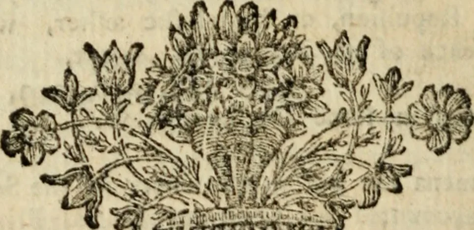 An illustration from Siris : a chain of philosophical reflexions and inquiries concerning the virtues of tar water, and divers other subjects connected together and arising one from another, 1744, leaf 9