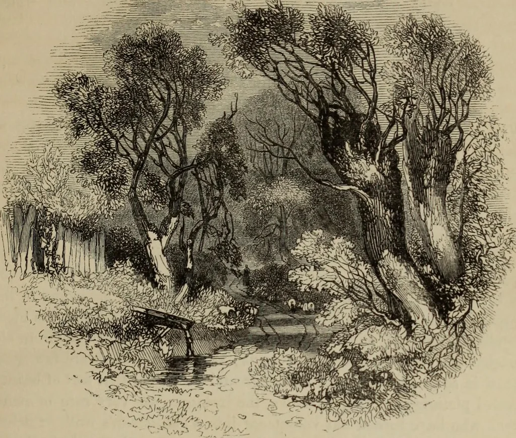 An illustration from Sir Uvedale Price, On the picturesque : with an essay On the origin of taste, and much original matter, 1842, leaf 100