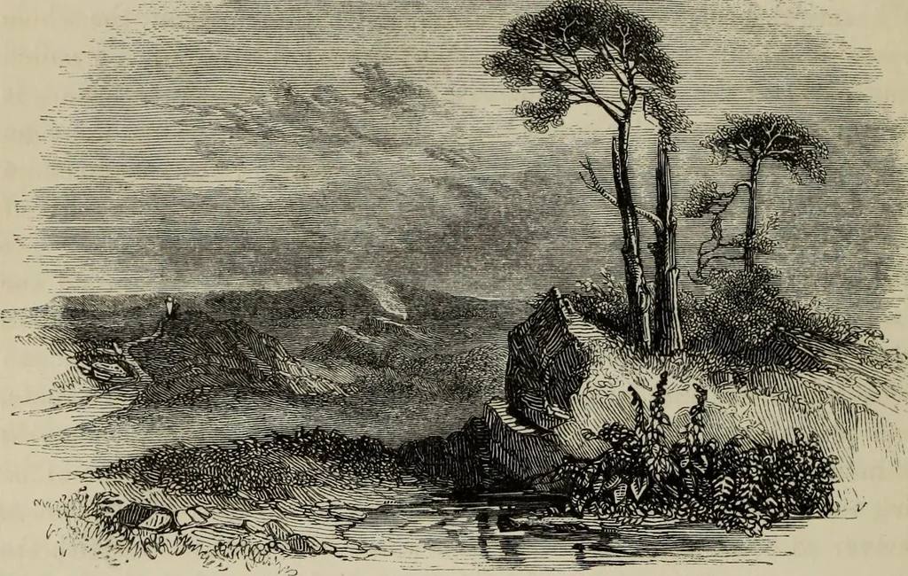 An illustration from Sir Uvedale Price, On the picturesque : with an essay On the origin of taste, and much original matter, 1842, leaf 141