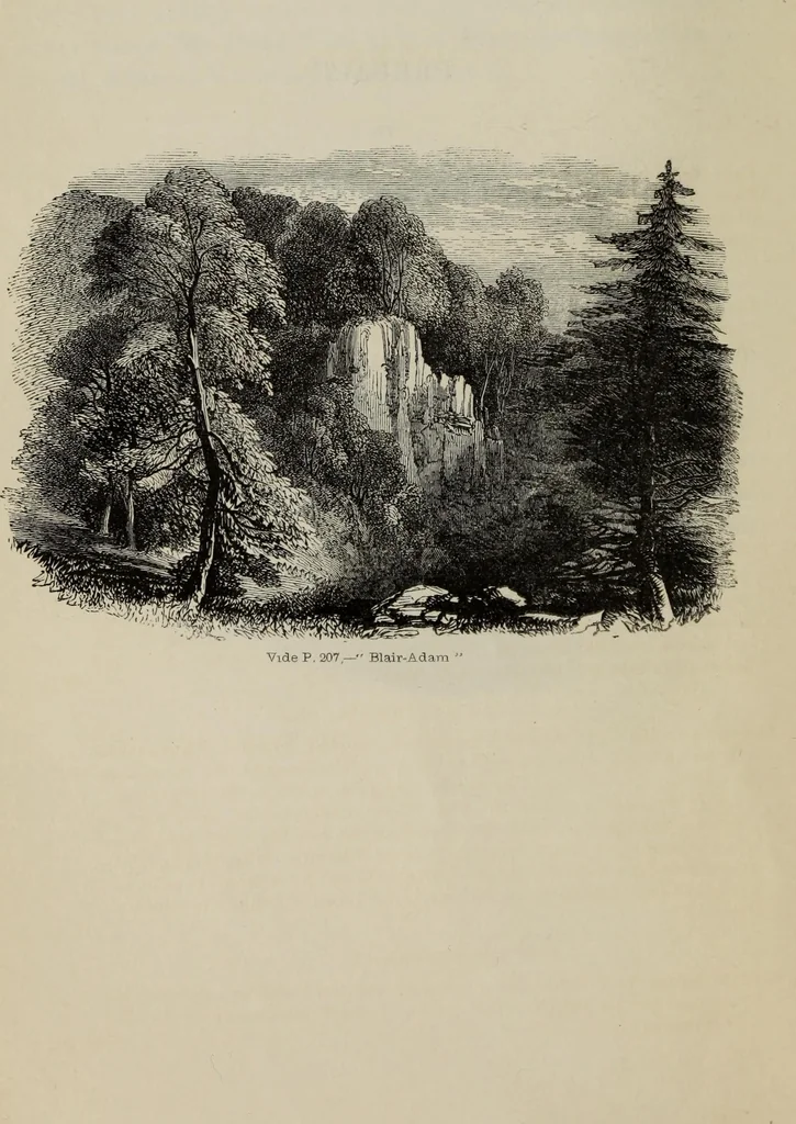 An illustration from Sir Uvedale Price, On the picturesque : with an essay On the origin of taste, and much original matter, 1842, leaf 21