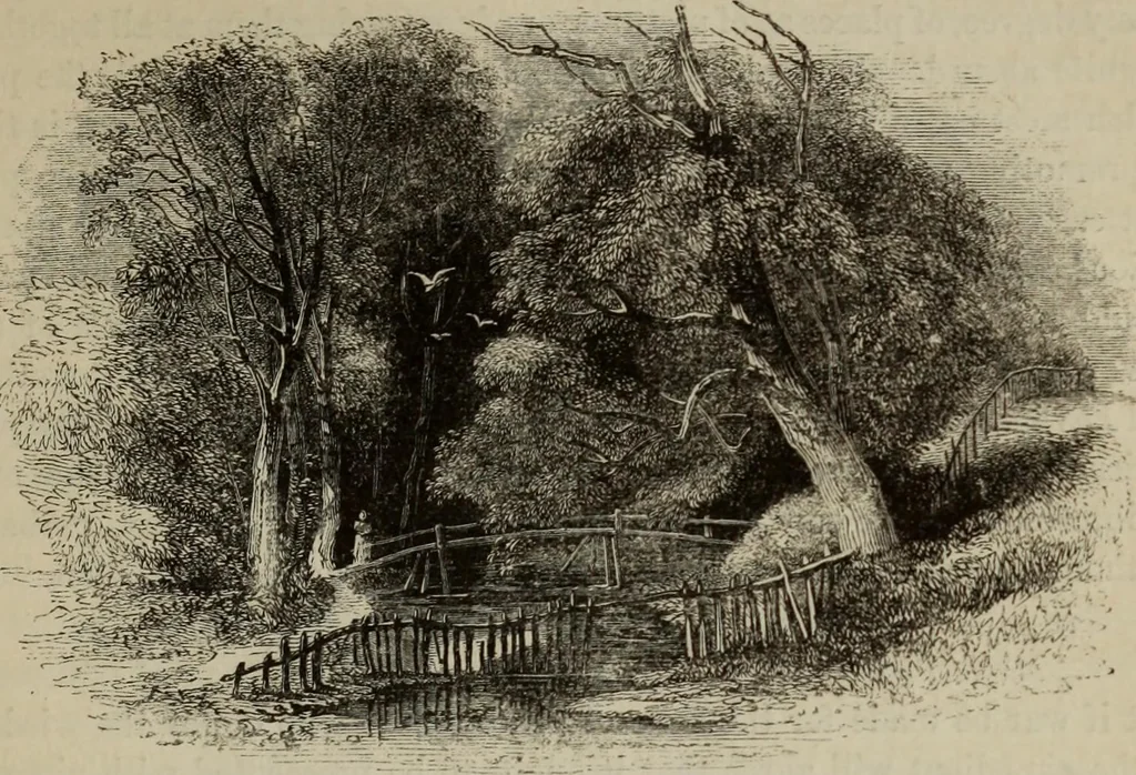 An illustration from Sir Uvedale Price, On the picturesque : with an essay On the origin of taste, and much original matter, 1842, leaf 258