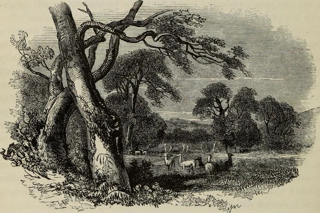 An illustration from Sir Uvedale Price, On the picturesque : with an essay On the origin of taste, and much original matter, 1842, leaf 443