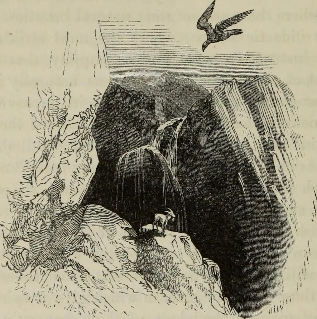 An illustration from Sir Uvedale Price, On the picturesque : with an essay On the origin of taste, and much original matter, 1842, leaf 459