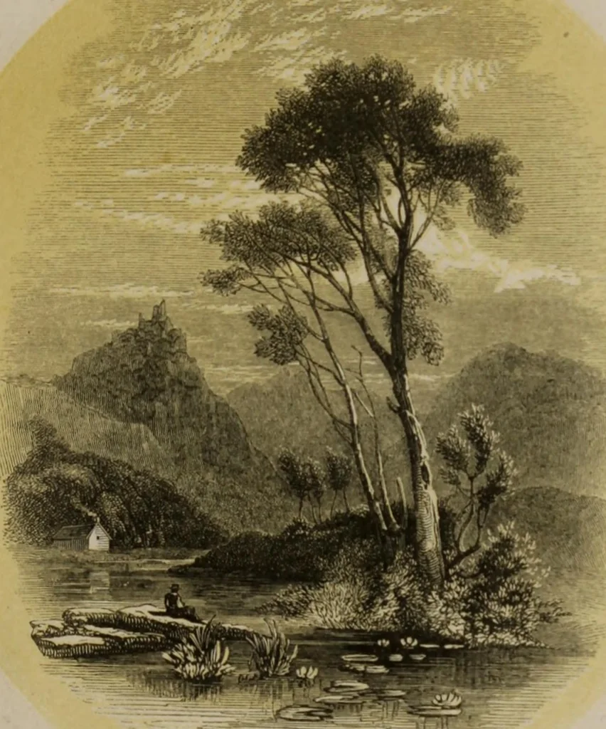 An illustration from Sir Uvedale Price, On the picturesque : with an essay On the origin of taste, and much original matter, 1842, leaf 8