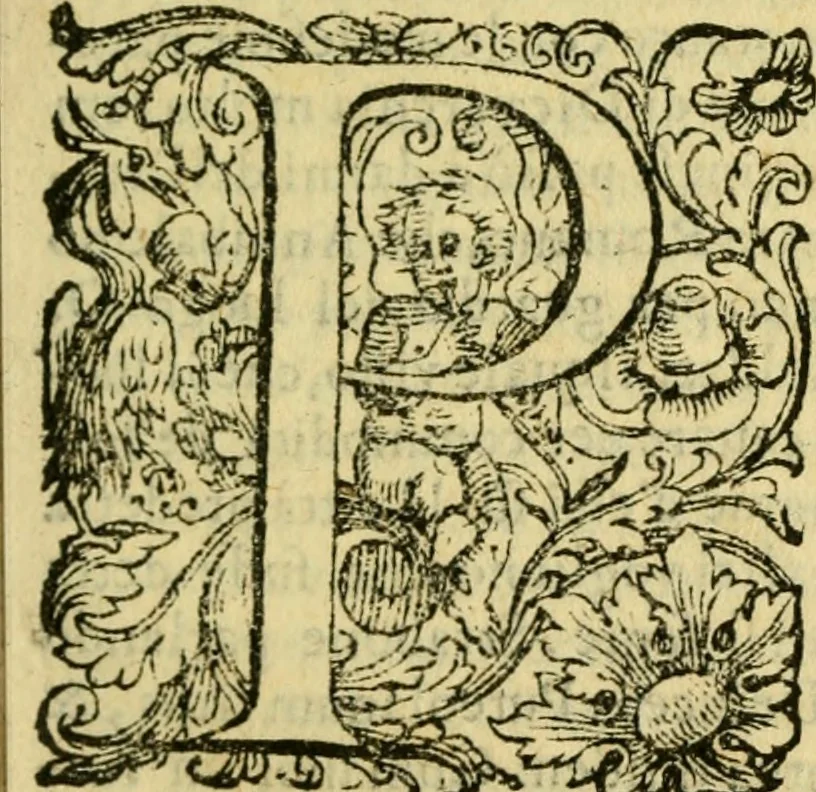 An illustration from Sito, et antichita della citta di Pozzuolo : e del suo amenissimo distretto. Con la descrittione di tutti i luoghi notabili ... e di Cuma, et di Baia, e di Miseno ... con le figure de gli edifici, e con gli epitafi che vi sono., 1591, leaf 20