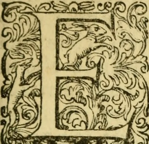 An illustration from Sito, et antichita della citta di Pozzuolo : e del suo amenissimo distretto. Con la descrittione di tutti i luoghi notabili ... e di Cuma, et di Baia, e di Miseno ... con le figure de gli edifici, e con gli epitafi che vi sono., 1591, leaf 6