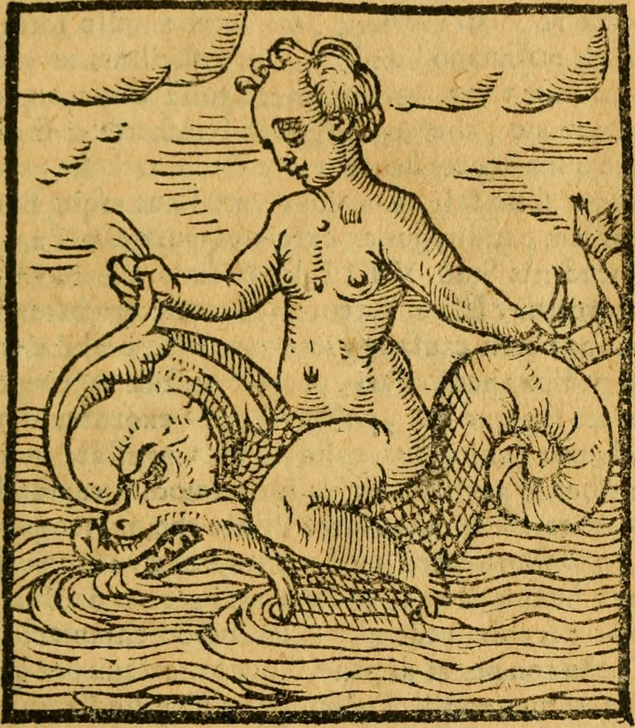 An illustration from Sito, et antichita della citta di Pozzuolo : e del suo amenissimo distretto. Con la descrittione di tutti i luoghi notabili ... e di Cuma, et di Baia, e di Miseno ... con le figure de gli edifici, e con gli epitafi che vi sono., 1591, leaf 68