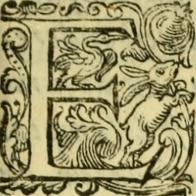 An illustration from Sito, et antichita della citta di Pozzuolo : e del suo amenissimo distretto. Con la descrittione di tutti i luoghi notabili ... e di Cuma, et di Baia, e di Miseno ... con le figure de gli edifici, e con gli epitafi che vi sono., 1591, leaf 20