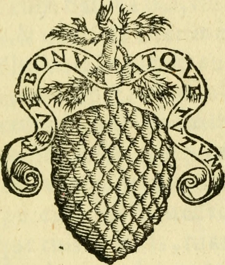 An illustration from Sito, et antichita della citta di Pozzuolo : e del suo amenissimo distretto. Con la descrittione di tutti i luoghi notabili ... e di Cuma, et di Baia, e di Miseno ... con le figure de gli edifici, e con gli epitafi che vi sono., 1591, leaf 4