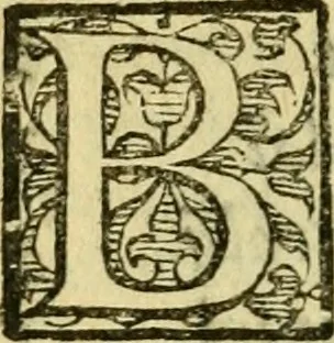 An illustration from Sito, et antichita della citta di Pozzuolo : e del suo amenissimo distretto. Con la descrittione di tutti i luoghi notabili ... e di Cuma, et di Baia, e di Miseno ... con le figure de gli edifici, e con gli epitafi che vi sono., 1591, leaf 71