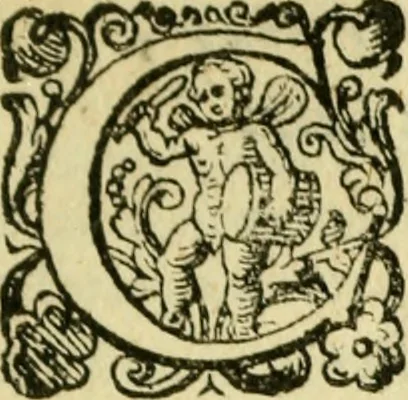 An illustration from Sito, et antichita della citta di Pozzuolo : e del suo amenissimo distretto. Con la descrittione di tutti i luoghi notabili ... e di Cuma, et di Baia, e di Miseno ... con le figure de gli edifici, e con gli epitafi che vi sono., 1591, leaf 8