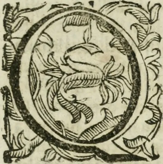 An illustration from Sito riminese, 1616, leaf 10